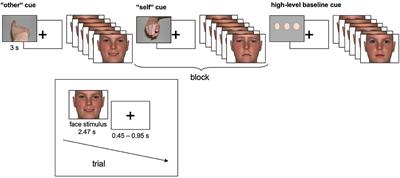 Neural Correlates of Empathy in Boys With Early Onset Conduct Disorder